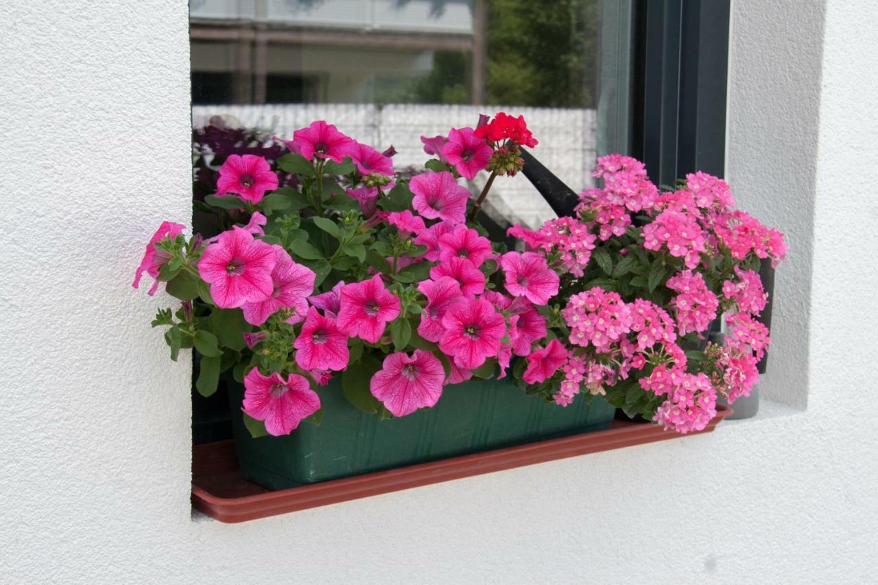 Ferienwohnung Heissl Fieberbrunn Exterior photo